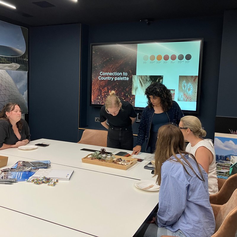 Colours of Queensland workshop with Populous